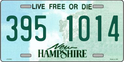 NH license plate 3951014