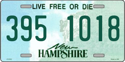 NH license plate 3951018