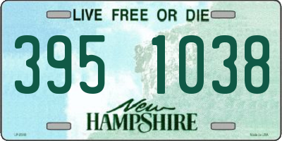 NH license plate 3951038