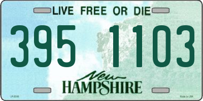 NH license plate 3951103