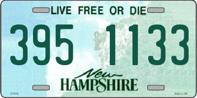 NH license plate 3951133