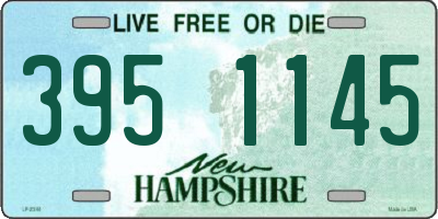 NH license plate 3951145