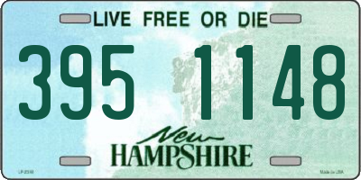 NH license plate 3951148