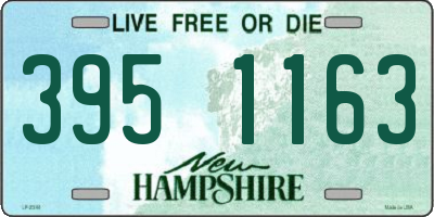 NH license plate 3951163