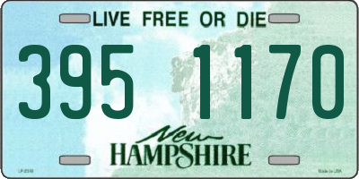 NH license plate 3951170