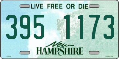 NH license plate 3951173