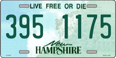 NH license plate 3951175