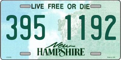 NH license plate 3951192