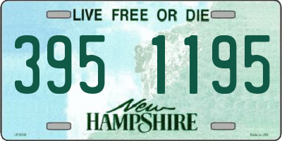 NH license plate 3951195