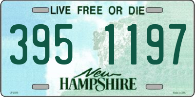 NH license plate 3951197