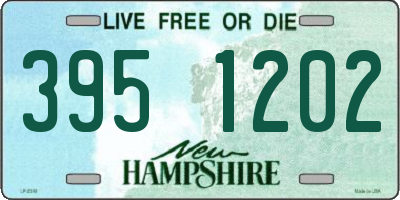 NH license plate 3951202