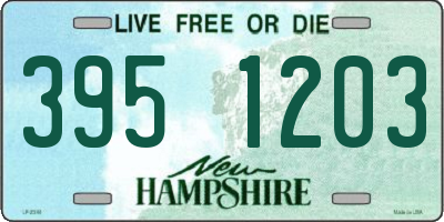 NH license plate 3951203