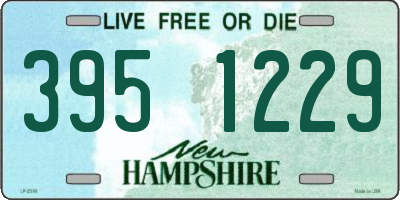 NH license plate 3951229