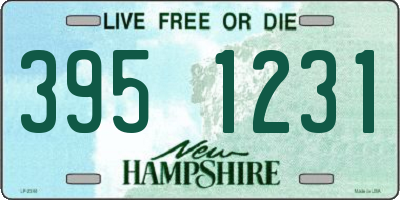NH license plate 3951231