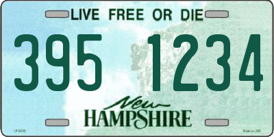 NH license plate 3951234