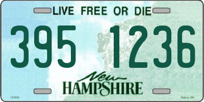 NH license plate 3951236