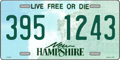 NH license plate 3951243