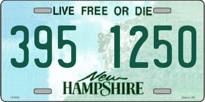 NH license plate 3951250