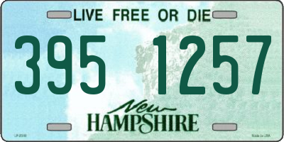 NH license plate 3951257