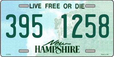NH license plate 3951258