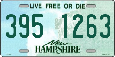 NH license plate 3951263