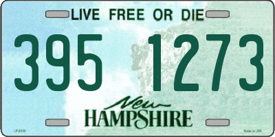 NH license plate 3951273
