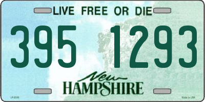 NH license plate 3951293