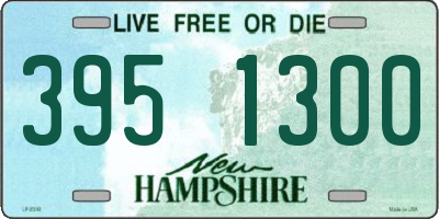 NH license plate 3951300