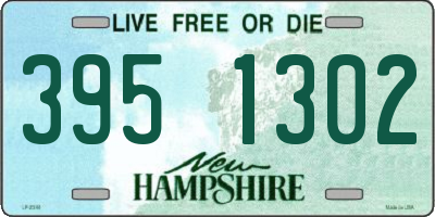 NH license plate 3951302