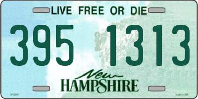 NH license plate 3951313