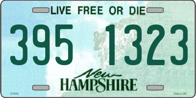 NH license plate 3951323