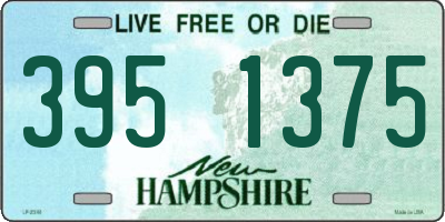 NH license plate 3951375