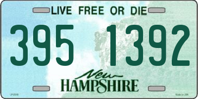 NH license plate 3951392
