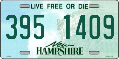 NH license plate 3951409