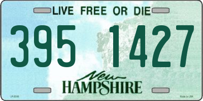 NH license plate 3951427