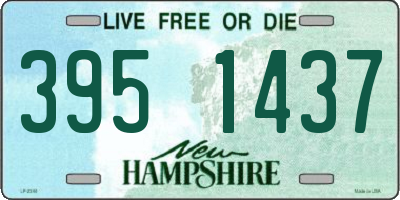 NH license plate 3951437