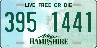 NH license plate 3951441