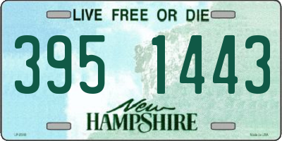 NH license plate 3951443