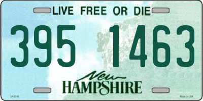 NH license plate 3951463