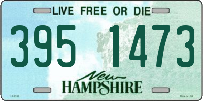 NH license plate 3951473