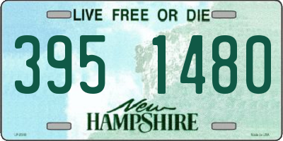 NH license plate 3951480
