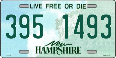 NH license plate 3951493