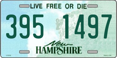 NH license plate 3951497
