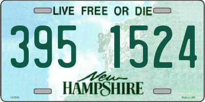 NH license plate 3951524