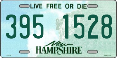 NH license plate 3951528