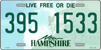 NH license plate 3951533