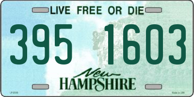 NH license plate 3951603