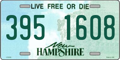 NH license plate 3951608