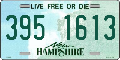 NH license plate 3951613
