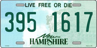 NH license plate 3951617
